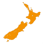 NZ-icon