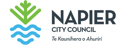 napier_council_logo